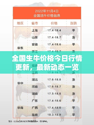 全國生牛價格今日行情更新，最新動態(tài)一覽
