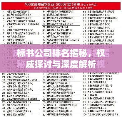 標書公司排名揭秘，權威探討與深度解析
