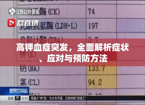 高鉀血癥突發(fā)，全面解析癥狀、應對與預防方法