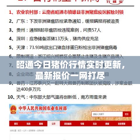 昭通今日豬價行情實時更新，最新報價一網(wǎng)打盡