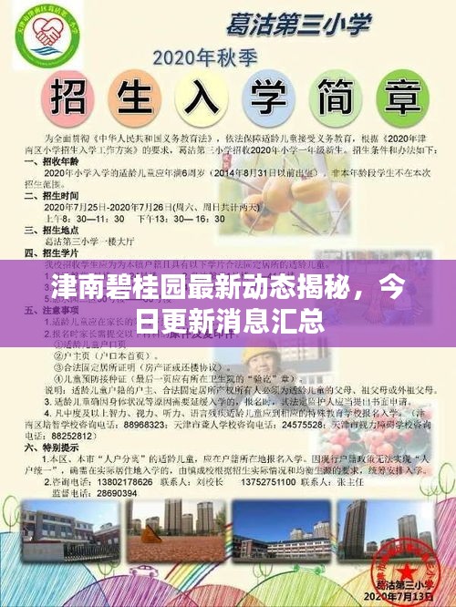 津南碧桂園最新動態(tài)揭秘，今日更新消息匯總