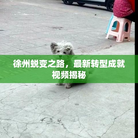 徐州蛻變之路，最新轉(zhuǎn)型成就視頻揭秘