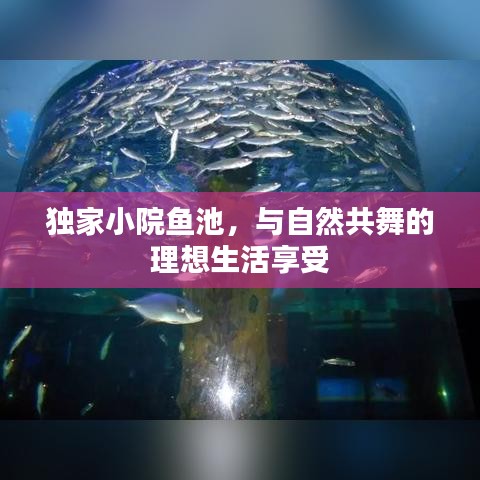 獨家小院魚池，與自然共舞的理想生活享受