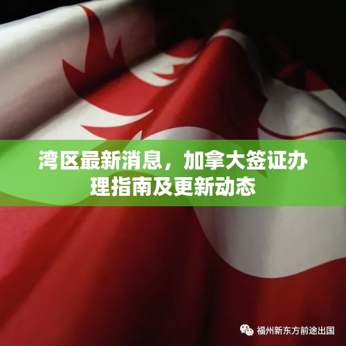 灣區(qū)最新消息，加拿大簽證辦理指南及更新動(dòng)態(tài)