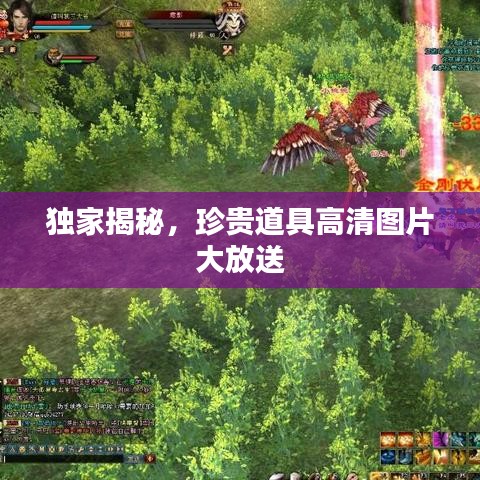 獨(dú)家揭秘，珍貴道具高清圖片大放送