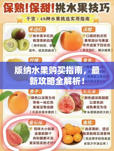 版納水果購買指南，最新攻略全解析！