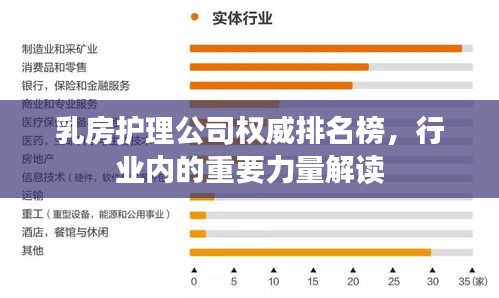 乳房護(hù)理公司權(quán)威排名榜，行業(yè)內(nèi)的重要力量解讀