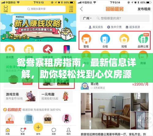 鴛鴦?wù)夥恐改?，最新信息詳解，助你輕松找到心儀房源