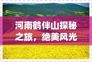 河南鶴伴山探秘之旅，絕美風(fēng)光與深度體驗攻略