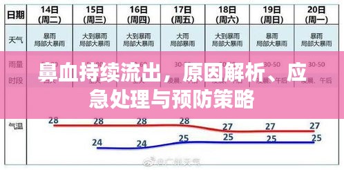 鼻血持續(xù)流出，原因解析、應(yīng)急處理與預(yù)防策略