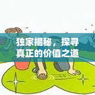 獨(dú)家揭秘，探尋真正的價(jià)值之道