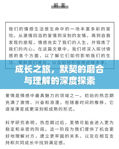成長之旅，默契的磨合與理解的深度探索
