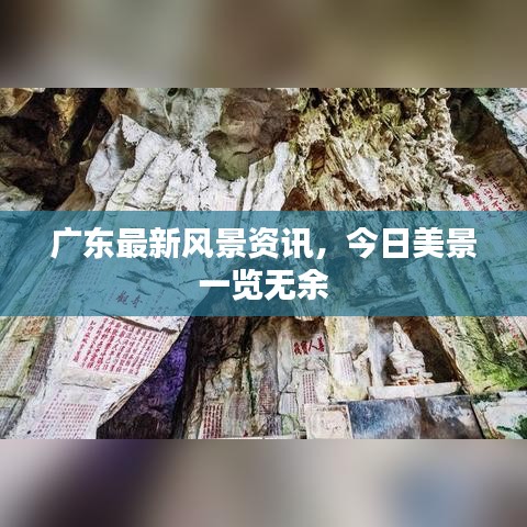 廣東最新風(fēng)景資訊，今日美景一覽無(wú)余