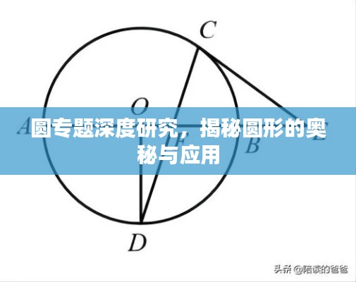 圓專題深度研究，揭秘圓形的奧秘與應用
