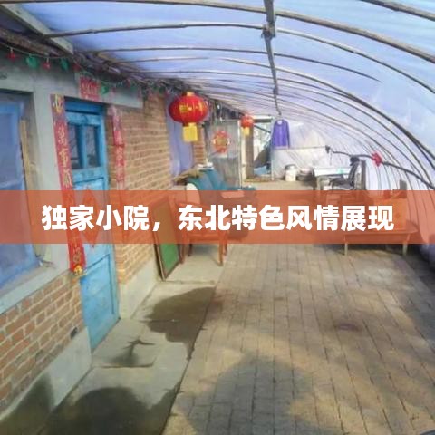 獨(dú)家小院，東北特色風(fēng)情展現(xiàn)