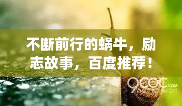 不斷前行的蝸牛，勵志故事，百度推薦！