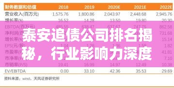 泰安追債公司排名揭秘，行業(yè)影響力深度解析