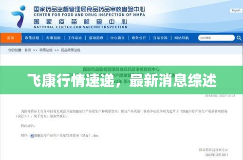 飛康行情速遞，最新消息綜述