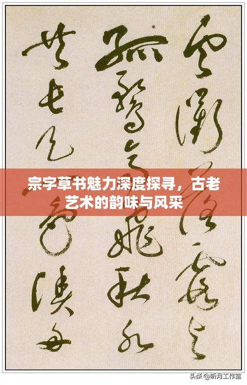 宗字草書魅力深度探尋，古老藝術(shù)的韻味與風(fēng)采