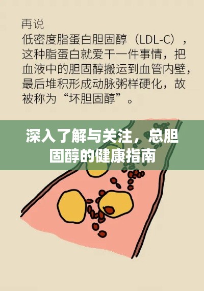 深入了解與關(guān)注，總膽固醇的健康指南