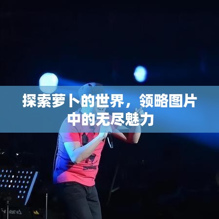 探索蘿卜的世界，領(lǐng)略圖片中的無(wú)盡魅力
