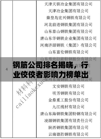 鋼筋公司排名揭曉，行業(yè)佼佼者影響力榜單出爐！