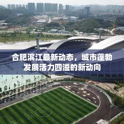 合肥濱江最新動(dòng)態(tài)，城市蓬勃發(fā)展活力四溢的新動(dòng)向