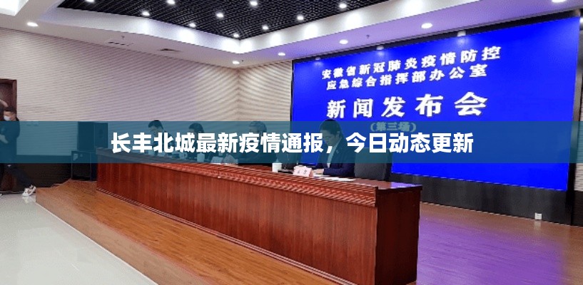 長豐北城最新疫情通報，今日動態(tài)更新