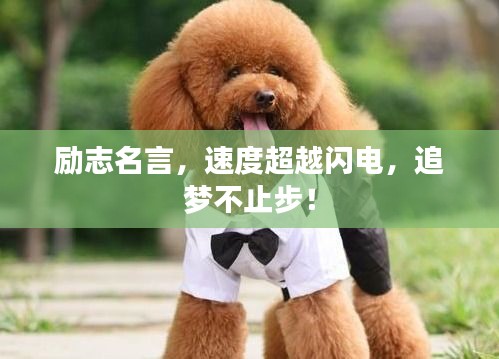 勵志名言，速度超越閃電，追夢不止步！
