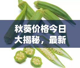 秋葵價格今日大揭秘，最新行情一網(wǎng)打盡