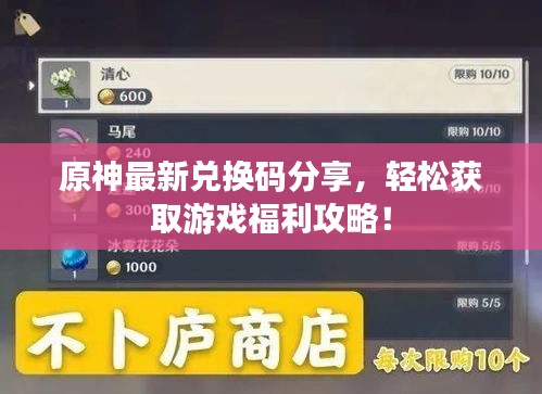 原神最新兌換碼分享，輕松獲取游戲福利攻略！