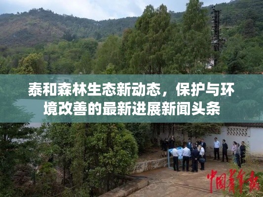 泰和森林生態(tài)新動態(tài)，保護(hù)與環(huán)境改善的最新進(jìn)展新聞?lì)^條