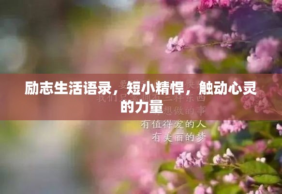 勵(lì)志生活語(yǔ)錄，短小精悍，觸動(dòng)心靈的力量