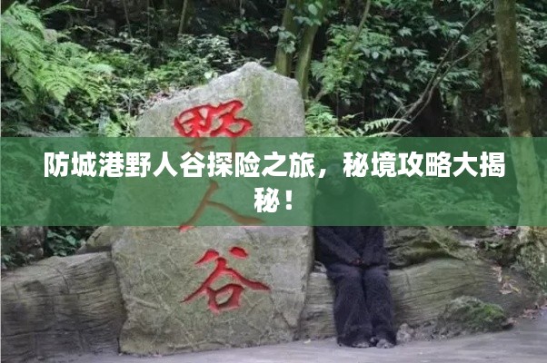 防城港野人谷探險(xiǎn)之旅，秘境攻略大揭秘！