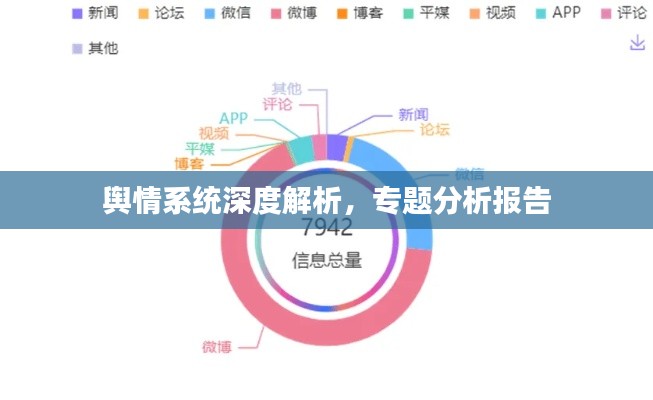 輿情系統(tǒng)深度解析，專題分析報(bào)告