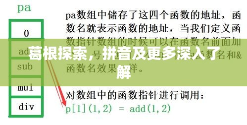 葛根探索，拼音及更多深入了解