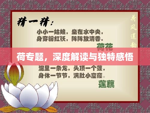 荷專題，深度解讀與獨(dú)特感悟