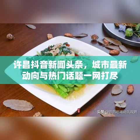 許昌抖音新聞?lì)^條，城市最新動(dòng)向與熱門(mén)話(huà)題一網(wǎng)打盡