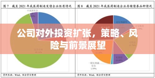 公司對外投資擴張，策略、風險與前景展望