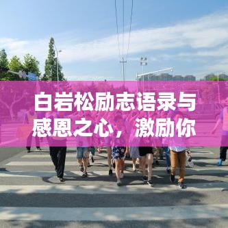 白巖松勵志語錄與感恩之心，激勵你前行的力量之源